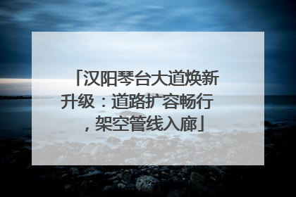 汉阳琴台大道焕新升级：道路扩容畅行，架空管线入廊