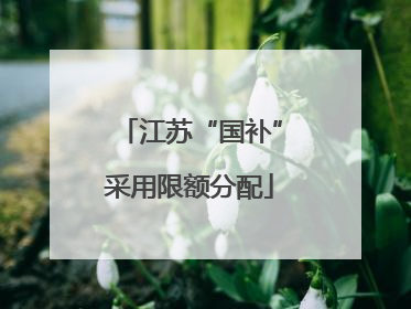 江苏“国补”采用限额分配