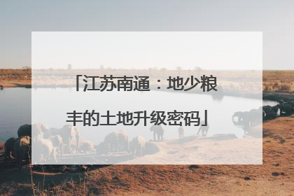 江苏南通：地少粮丰的土地升级密码