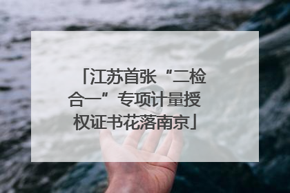 江苏首张“二检合一”专项计量授权证书花落南京