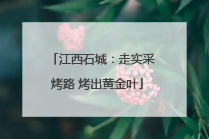 江西石城：走实采烤路 烤出黄金叶