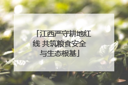 江西严守耕地红线 共筑粮食安全与生态根基