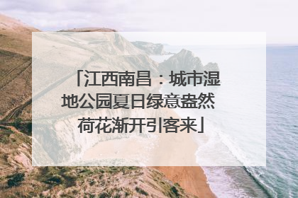 江西南昌：城市湿地公园夏日绿意盎然 荷花渐开引客来