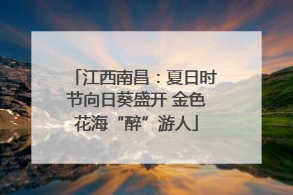 江西南昌：夏日时节向日葵盛开 金色花海“醉”游人