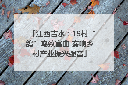 江西吉水：19村“鸽”鸣致富曲 奏响乡村产业振兴强音