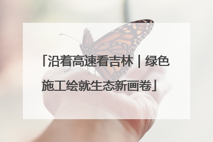 沿着高速看吉林｜绿色施工绘就生态新画卷