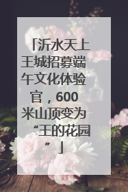 沂水天上王城招募端午文化体验官，600米山顶变为“王的花园”
