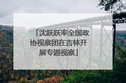 沈跃跃率全国政协视察团在吉林开展专题视察