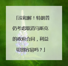 没和解！特朗普仍考虑取消马斯克的政府合同，利益切割容易吗？