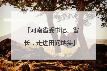河南省委书记、省长，走进田间地头