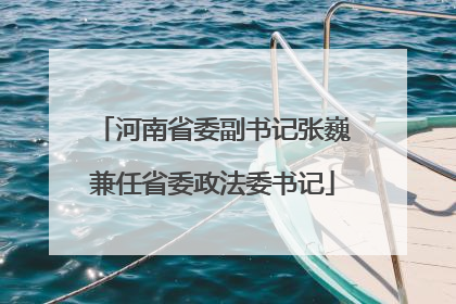 河南省委副书记张巍兼任省委政法委书记