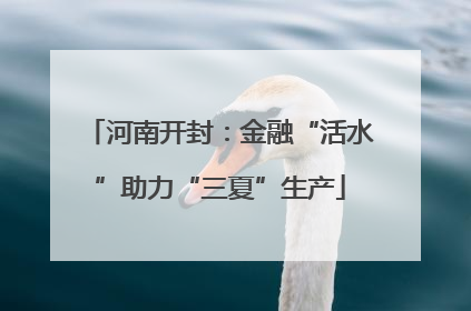 河南开封：金融“活水”助力“三夏”生产