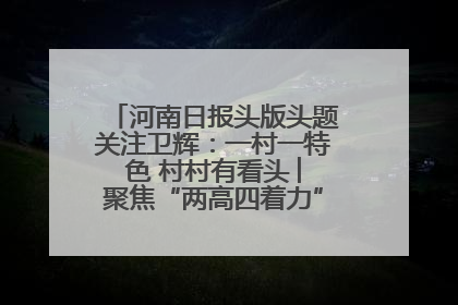 河南日报头版头题关注卫辉：一村一特色 村村有看头 ︳聚焦“两高四着力”·一“县”观察