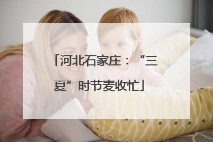 河北石家庄：“三夏”时节麦收忙