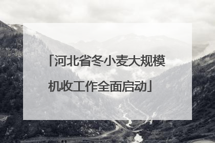 河北省冬小麦大规模机收工作全面启动
