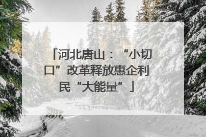 河北唐山：“小切口”改革释放惠企利民“大能量”