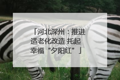 河北深州：推进适老化改造 托起幸福“夕阳红”