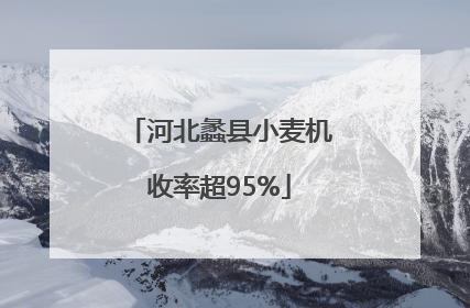 河北蠡县小麦机收率超95%