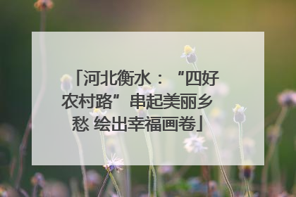 河北衡水：“四好农村路”串起美丽乡愁 绘出幸福画卷