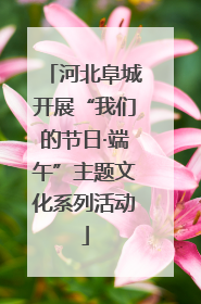 河北阜城开展“我们的节日·端午”主题文化系列活动