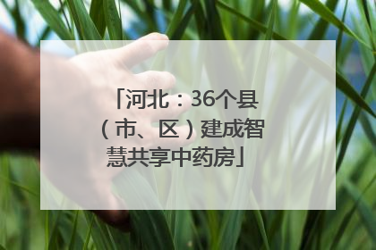 河北：36个县（市、区）建成智慧共享中药房
