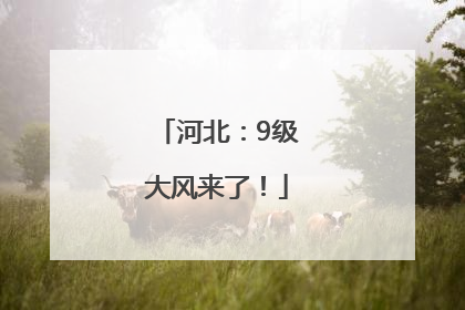 河北：9级大风来了！
