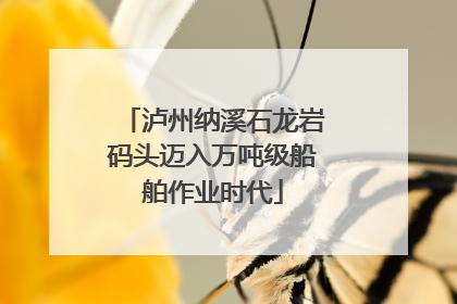 泸州纳溪石龙岩码头迈入万吨级船舶作业时代