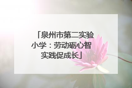泉州市第二实验小学：劳动砺心智实践促成长