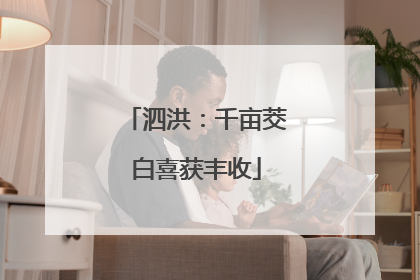 泗洪：千亩茭白喜获丰收