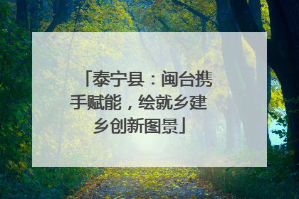 泰宁县：闽台携手赋能，绘就乡建乡创新图景
