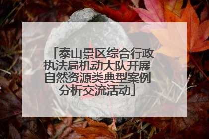 泰山景区综合行政执法局机动大队开展自然资源类典型案例分析交流活动