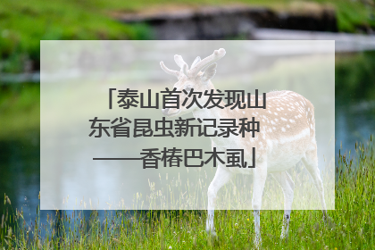 泰山首次发现山东省昆虫新记录种——香椿巴木虱