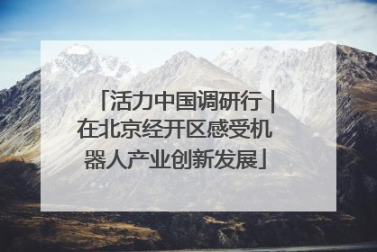 活力中国调研行｜在北京经开区感受机器人产业创新发展