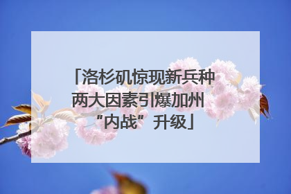 洛杉矶惊现新兵种 两大因素引爆加州“内战”升级