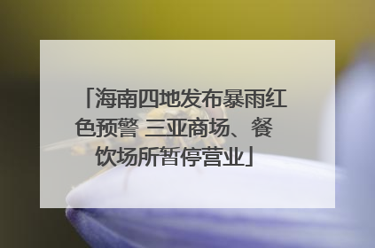 海南四地发布暴雨红色预警 三亚商场、餐饮场所暂停营业