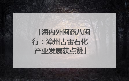 海内外闽商八闽行：漳州古雷石化产业发展获点赞