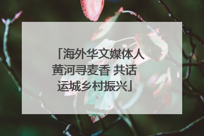 海外华文媒体人黄河寻麦香 共话运城乡村振兴