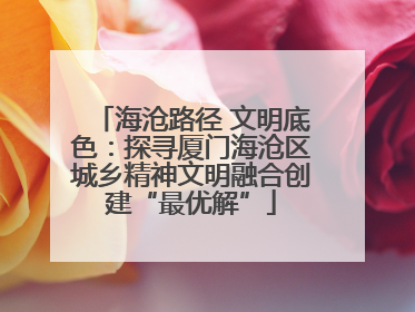海沧路径 文明底色：探寻厦门海沧区城乡精神文明融合创建“最优解”