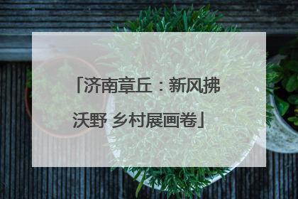 济南章丘：新风拂沃野 乡村展画卷