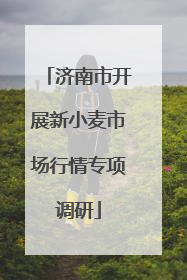 济南市开展新小麦市场行情专项调研