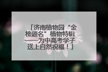 济南植物园“金榜题名”植物特辑——为中高考学子送上自然祝福！