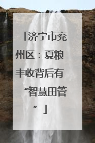 济宁市兖州区：夏粮丰收背后有“智慧田管”