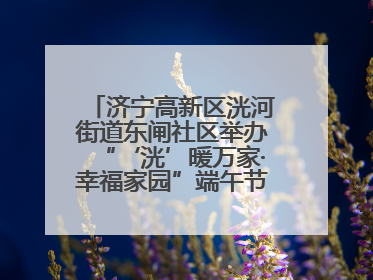 济宁高新区洸河街道东闸社区举办“‘洸’暖万家·幸福家园”端午节幸福集市活动