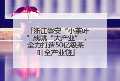 浙江磐安“小茶叶”成就“大产业”，全力打造50亿级茶叶全产业链