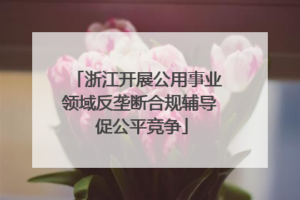 浙江开展公用事业领域反垄断合规辅导 促公平竞争
