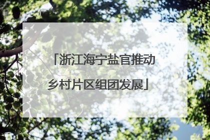浙江海宁盐官推动乡村片区组团发展