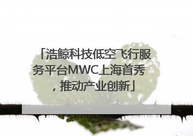 浩鲸科技低空飞行服务平台MWC上海首秀，推动产业创新