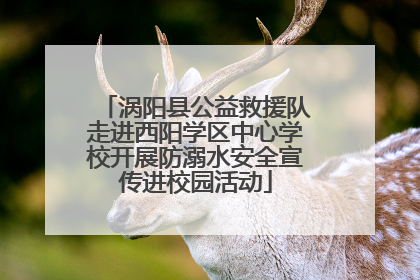 涡阳县公益救援队走进西阳学区中心学校开展防溺水安全宣传进校园活动