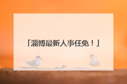 淄博最新人事任免！