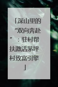 深山里的“双向奔赴”：驻村帮扶激活茅坪村致富引擎
